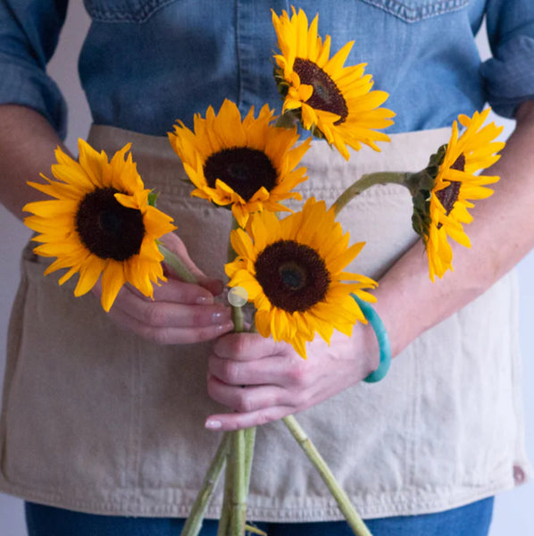 Sun Flower Bunch (5 Stems)