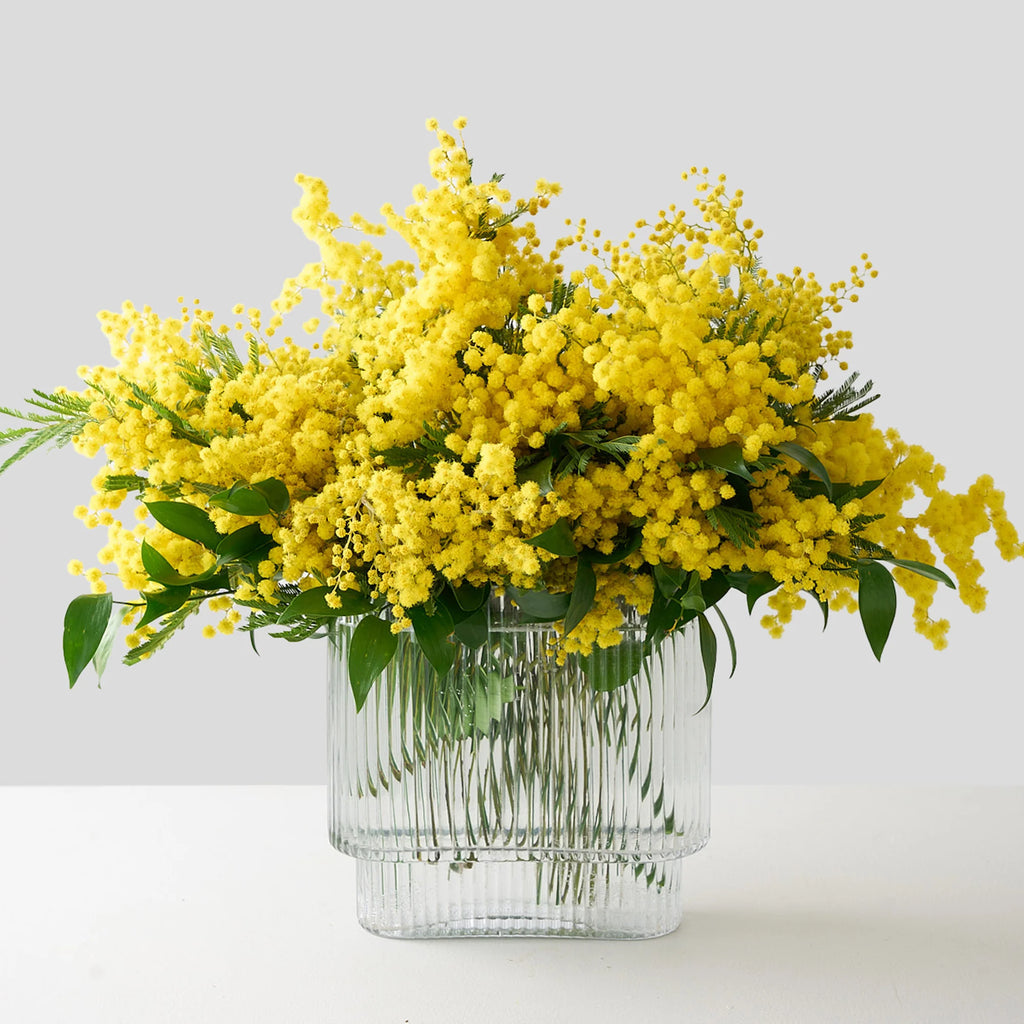 Mimosa Arrangement