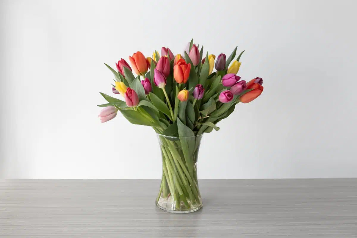 Tulip Arrangement