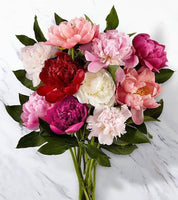 Peony Bunch (5 Stems)