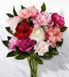 Peony Bunch (5 Stems)