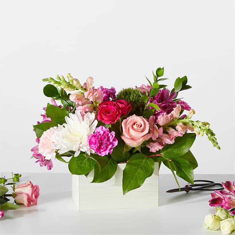 Sweetberry Arrangement