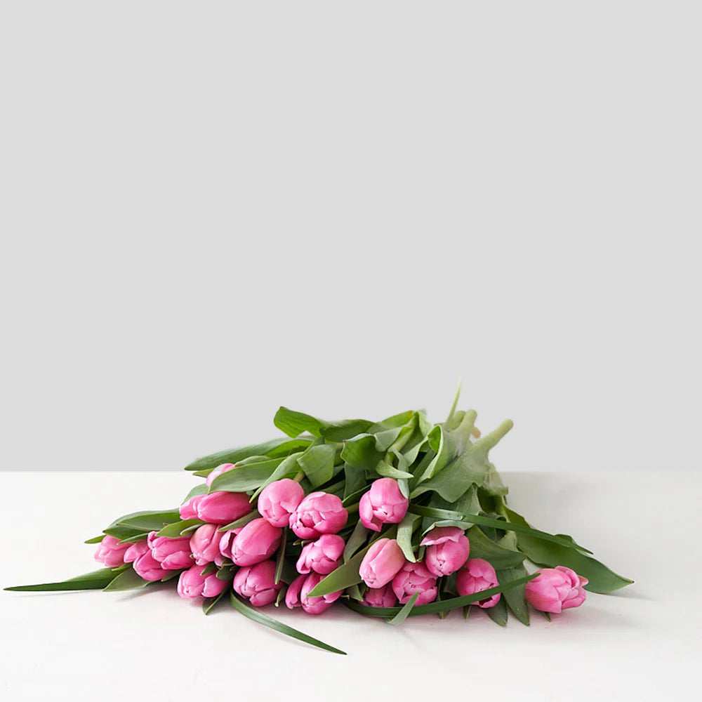Pink Tulip Bunch (10 Stems)