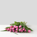 Pink Tulip Bunch (10 Stems)