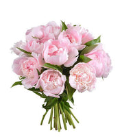 Peony Bunch (5 Stems)