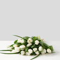 White Tulip Bunch (10 Stems)