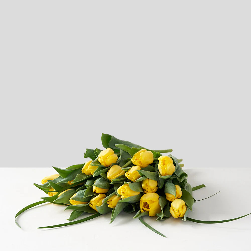 Yellow Tulip Bunch (10 stems)