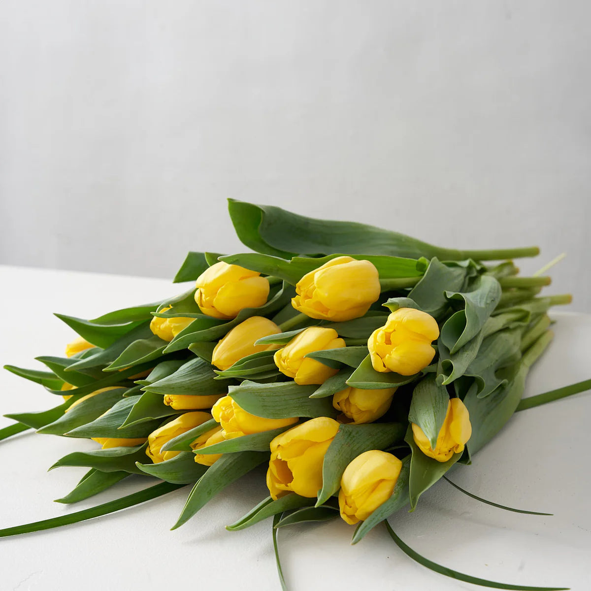 Yellow Tulip Bunch (10 stems)