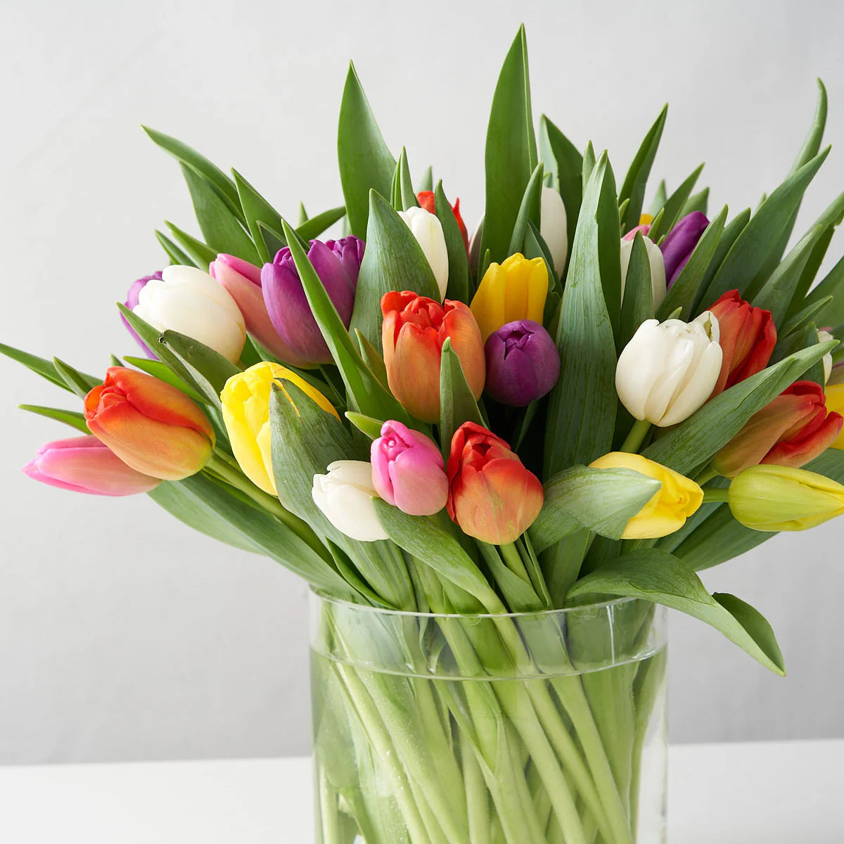 Tulip Arrangement