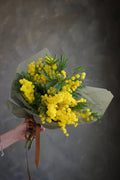 Medium Mimosa Bunch