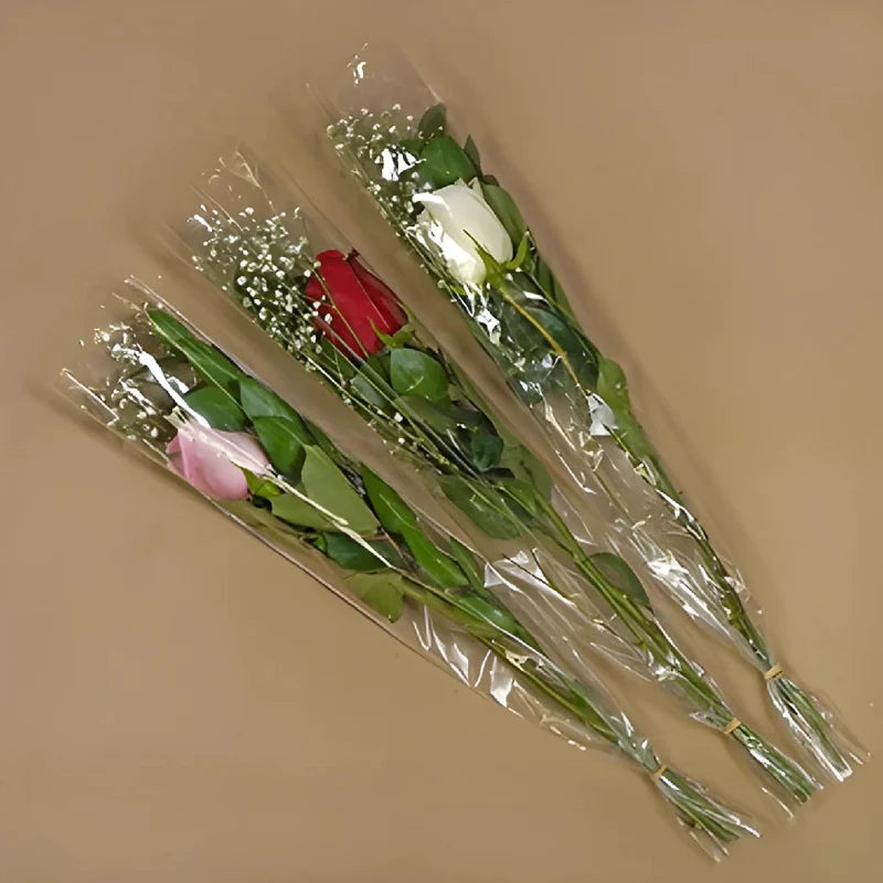 Single Rose