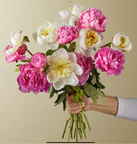 Peony Bunch (5 Stems)