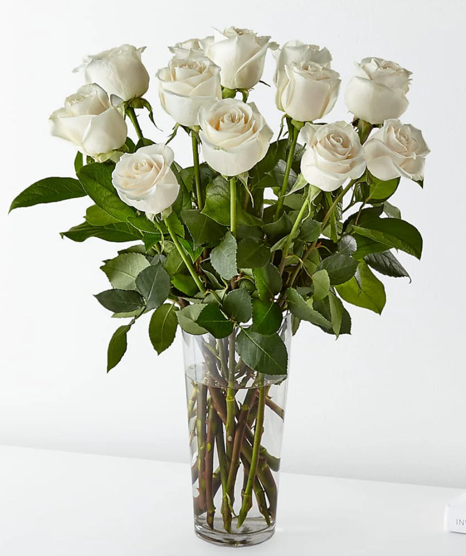 White Rose Arrangement