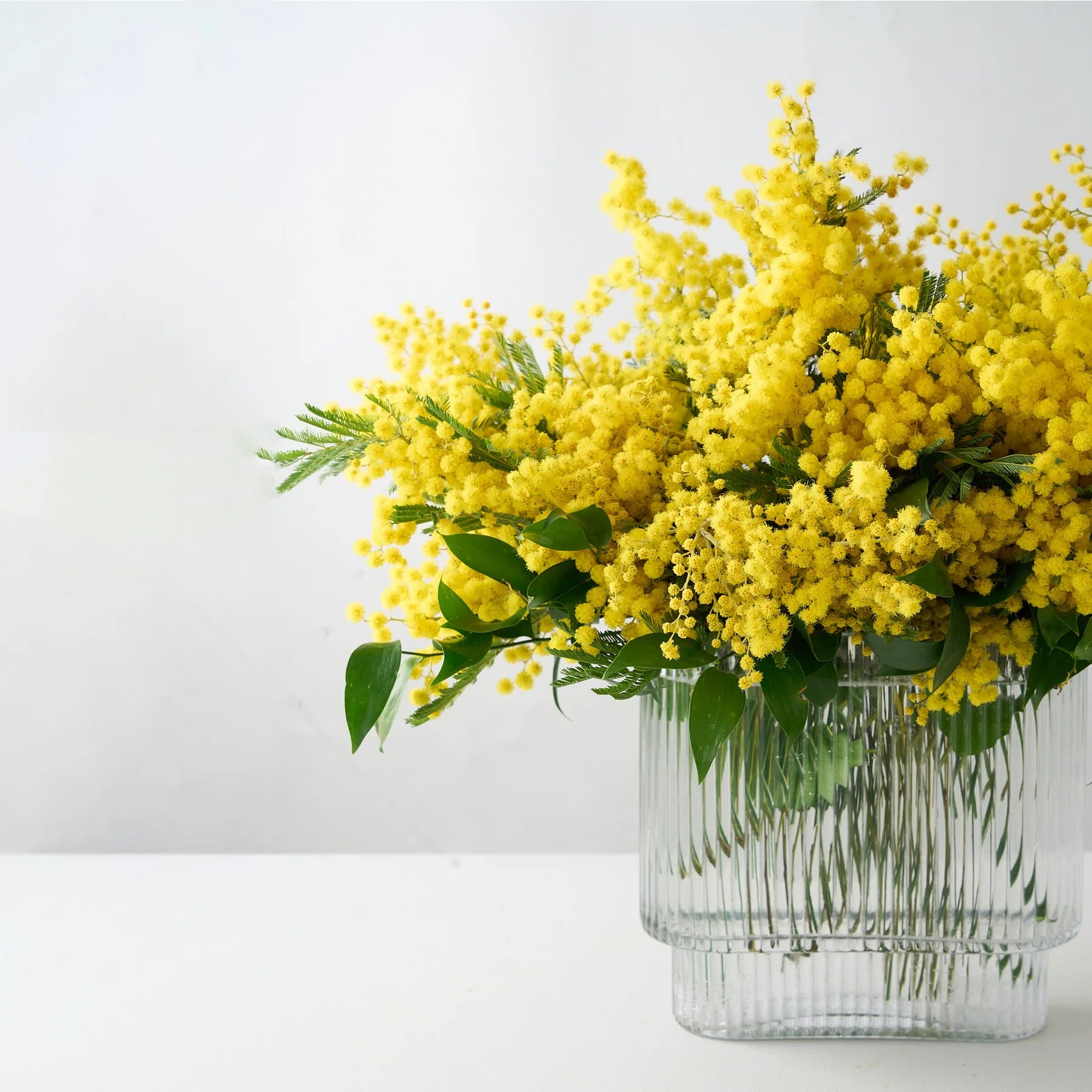 Mimosa Arrangement