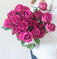 Purple Roses